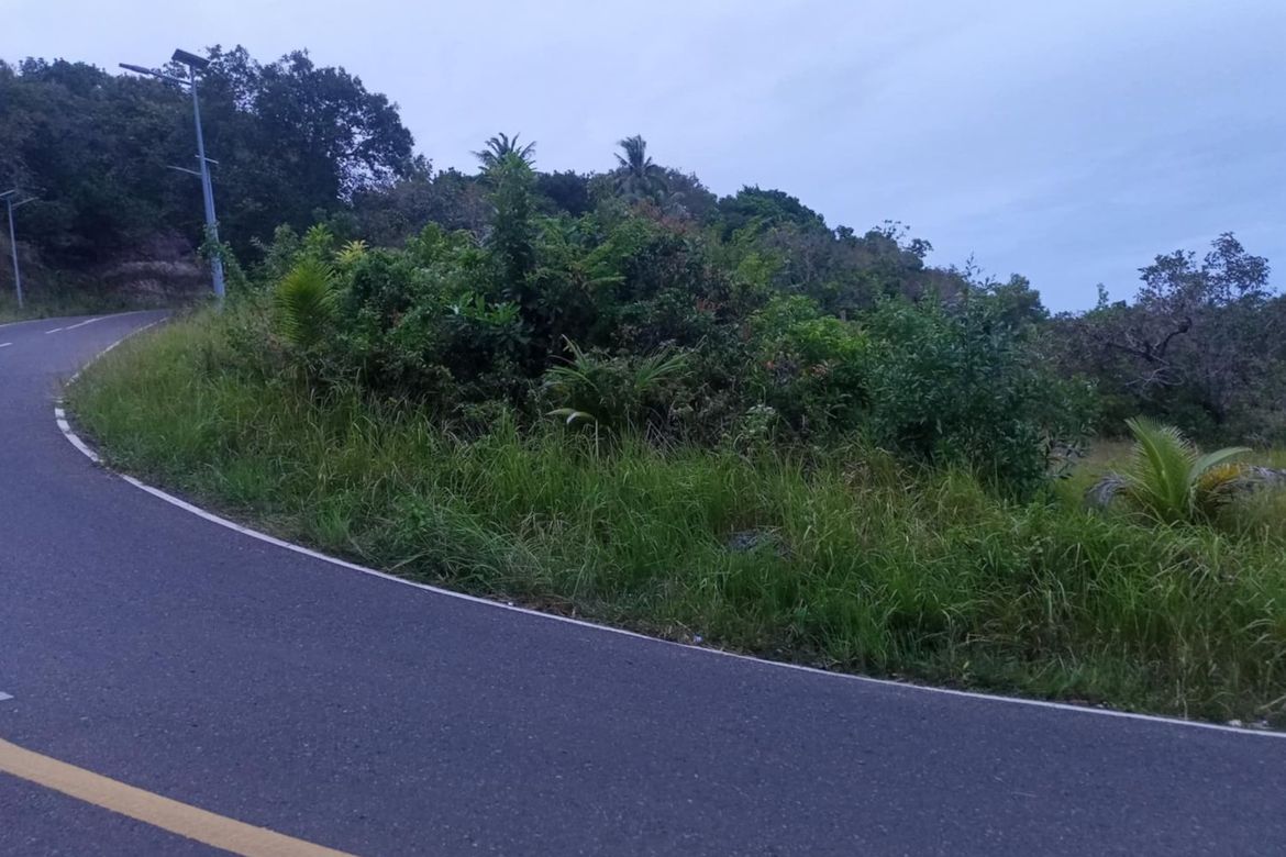 Land for Sale in Candaping B, Maria, Siquijor – photo 7