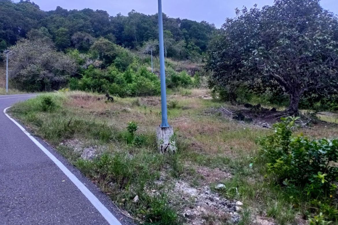 Land for Sale in Candaping B, Maria, Siquijor – photo 8