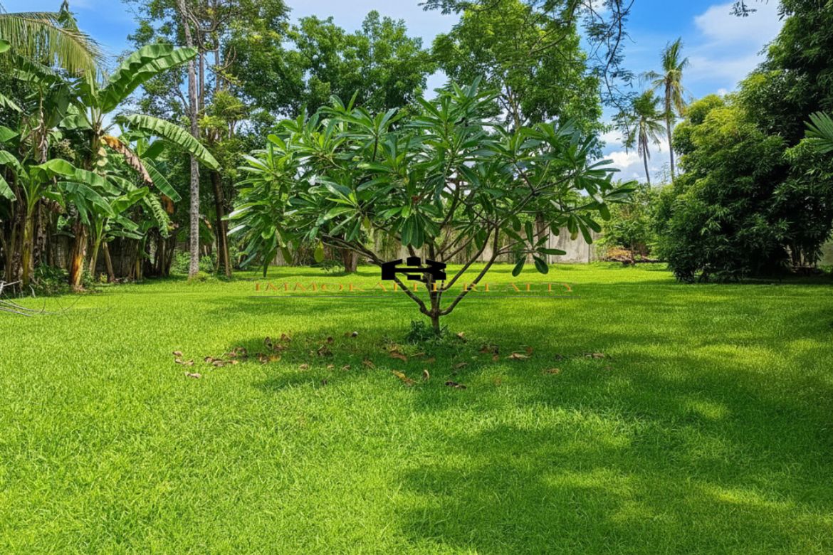 Land for Sale in Canduman, Mandaue, Cebu – photo 5