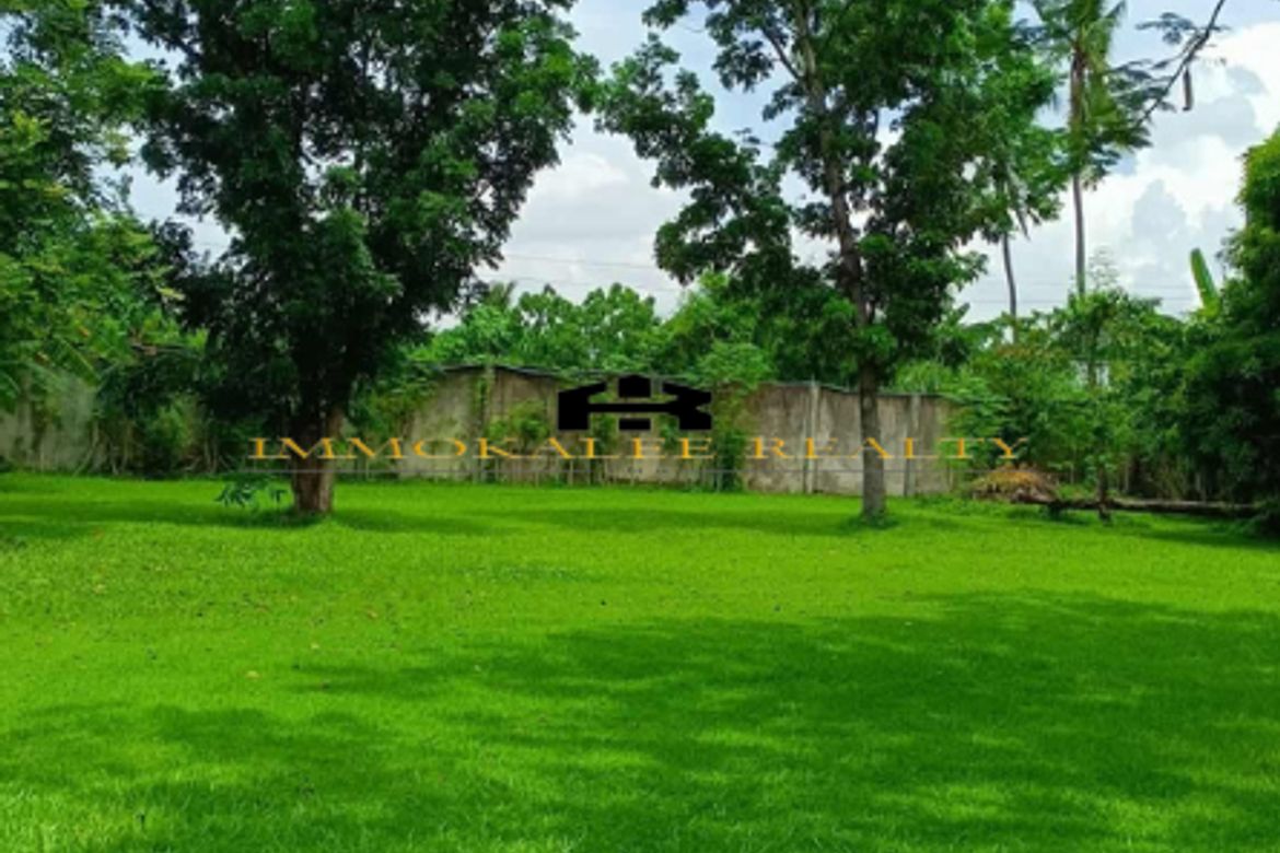 Land for Sale in Canduman, Mandaue, Cebu – photo 6