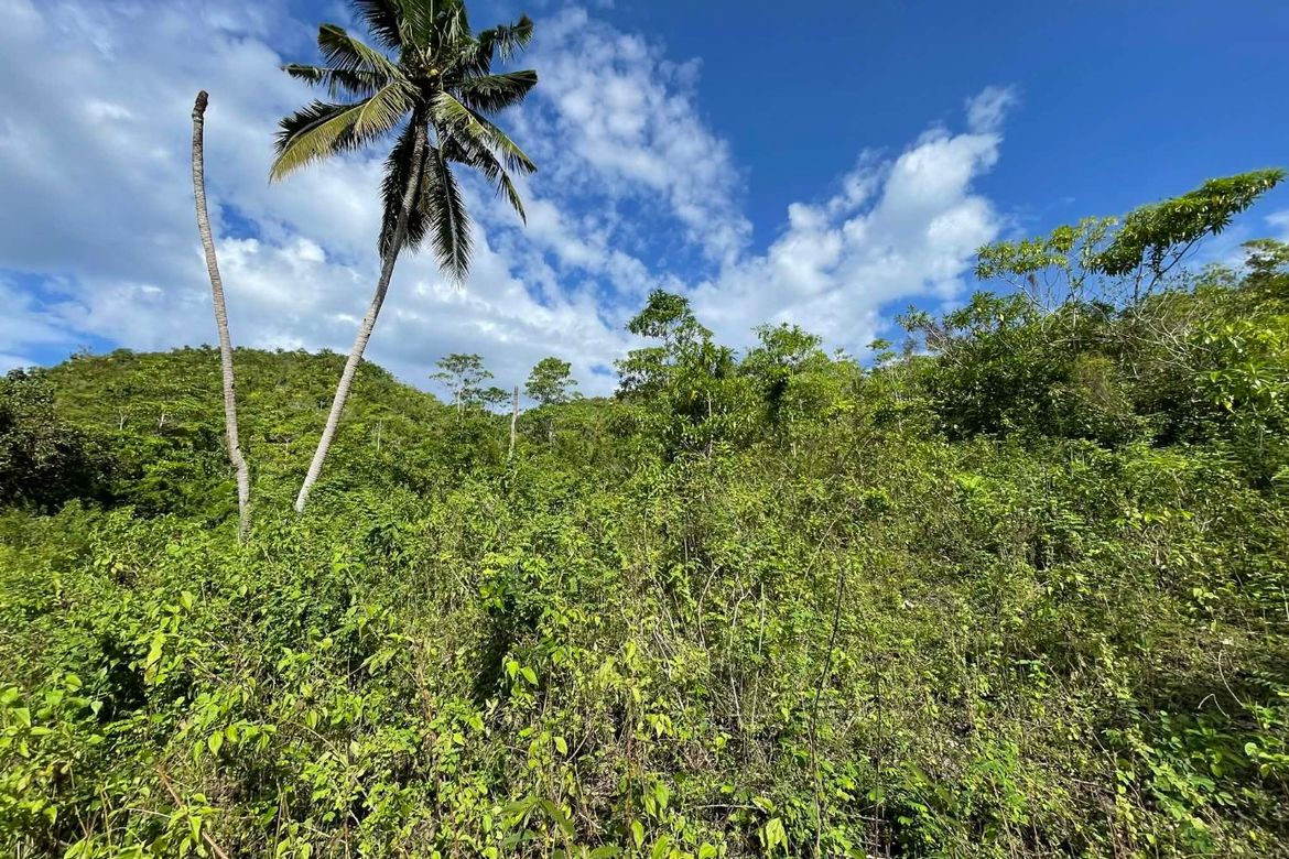 Land for Sale in Candura, San Juan, Siquijor