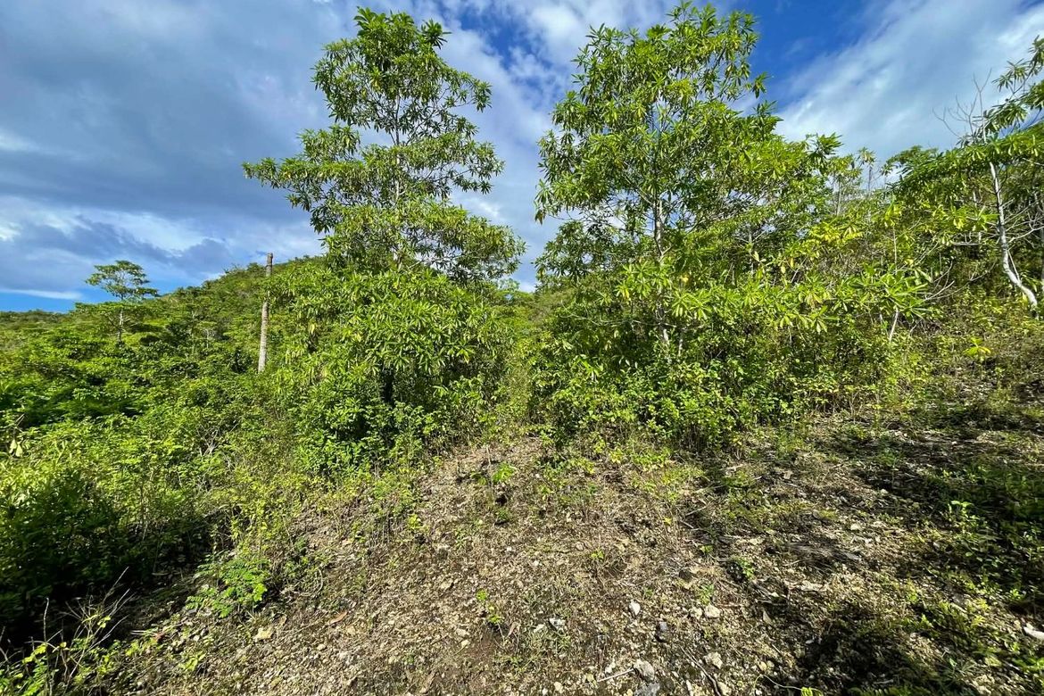 Land for Sale in Candura, San Juan, Siquijor – photo 2