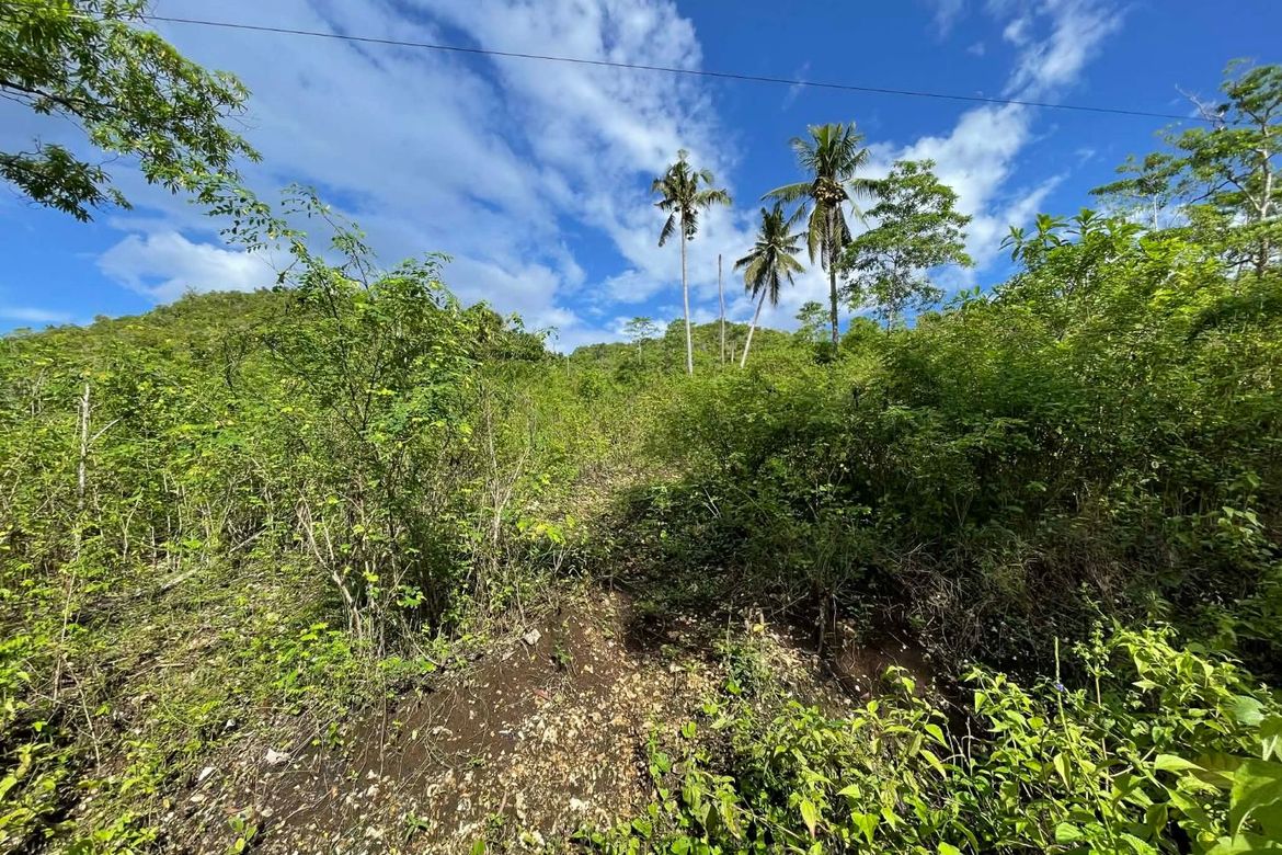 Land for Sale in Candura, San Juan, Siquijor – photo 3