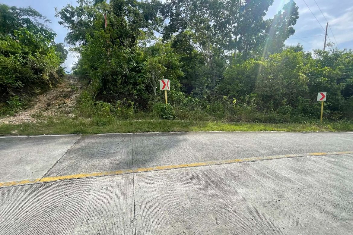 Land for Sale in Candura, San Juan, Siquijor