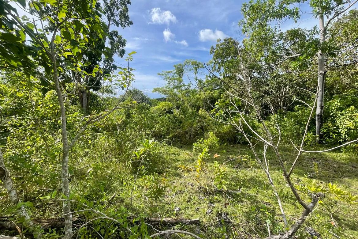Land for Sale in Candura, San Juan, Siquijor – photo 2