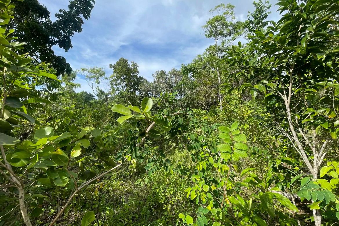 Land for Sale in Candura, San Juan, Siquijor – photo 7