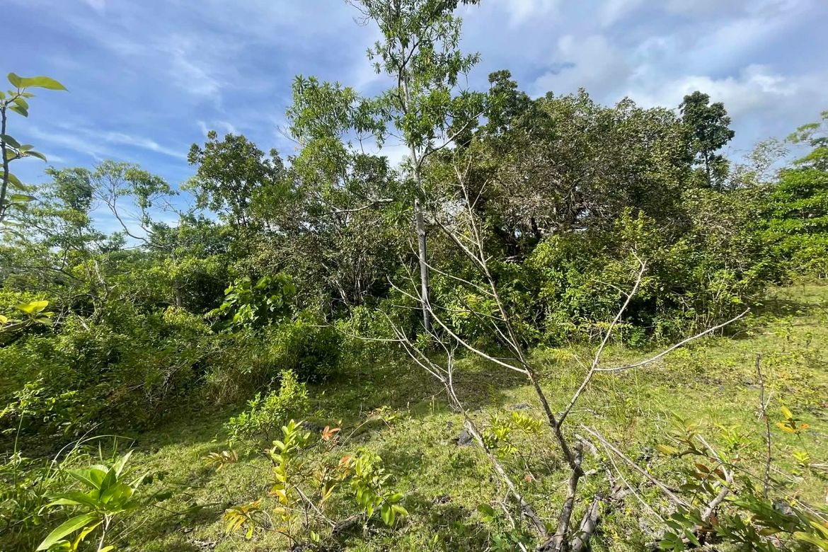 Land for Sale in Candura, San Juan, Siquijor – photo 8