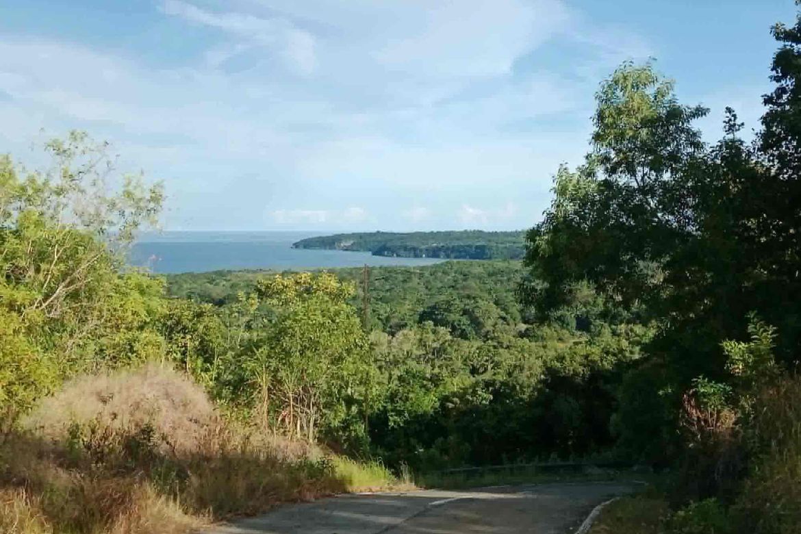 Land for Sale in Cang-Agong, Siquijor, Siquijor