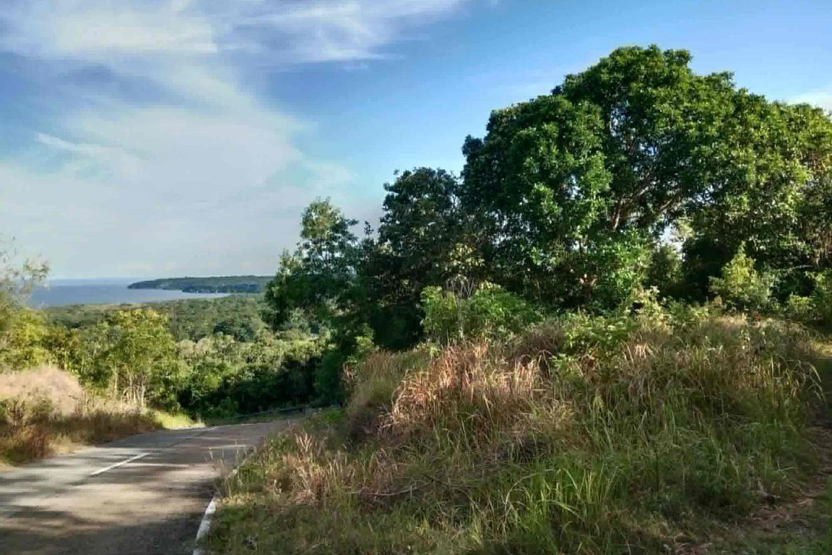 Land for Sale in Cang-Agong, Siquijor, Siquijor – photo 2