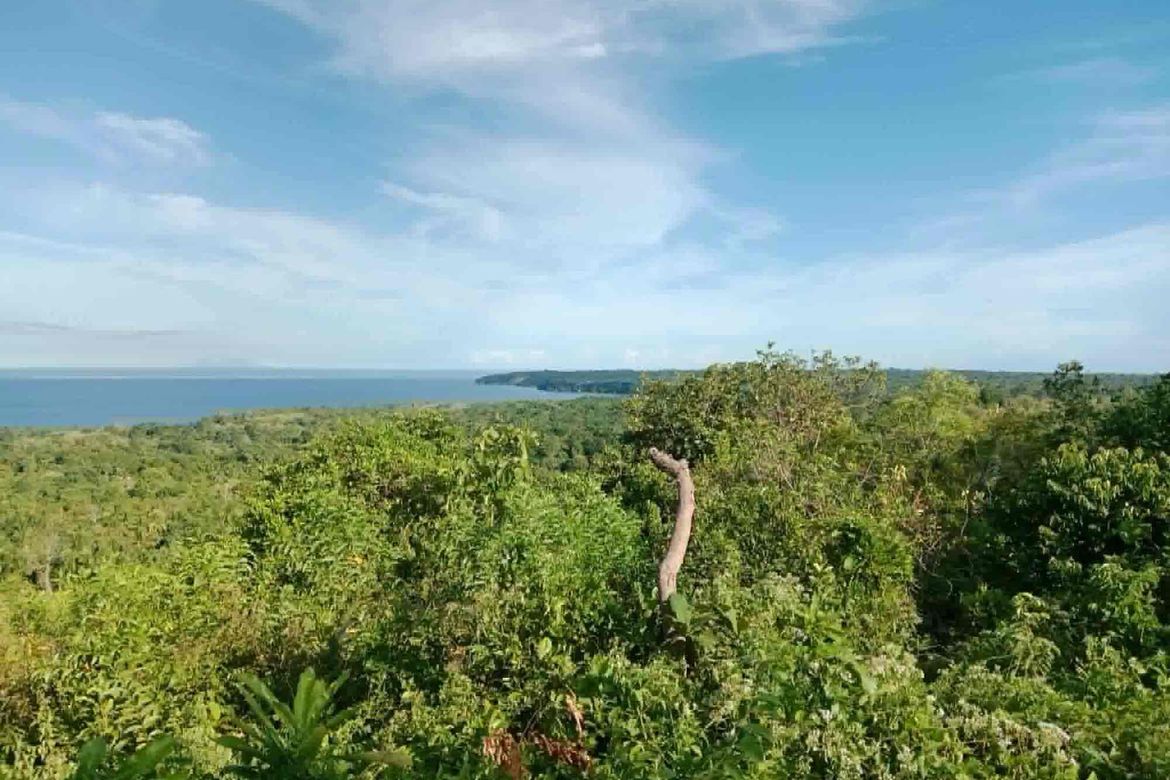 Land for Sale in Cang-Agong, Siquijor, Siquijor – photo 3