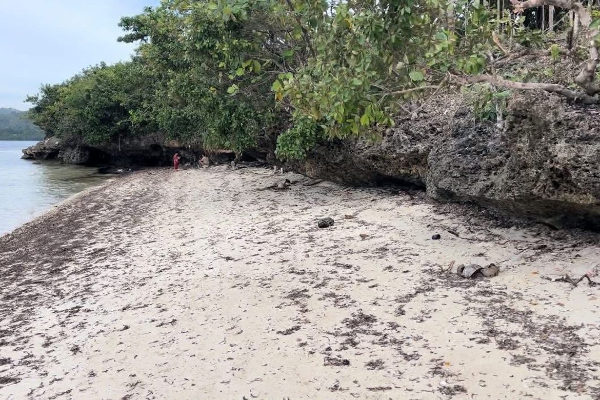 Land for Sale in Cang-Agong, Siquijor, Siquijor – photo 2