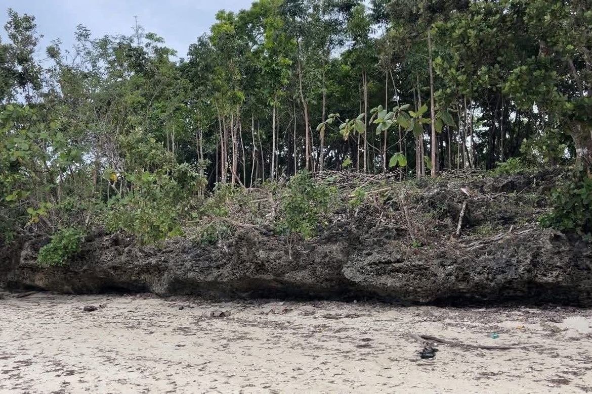 Land for Sale in Cang-Agong, Siquijor, Siquijor – photo 3