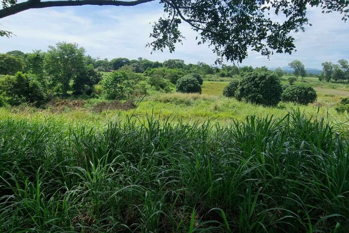 Land for Sale in Cangatba, Porac, Pampanga – photo 3