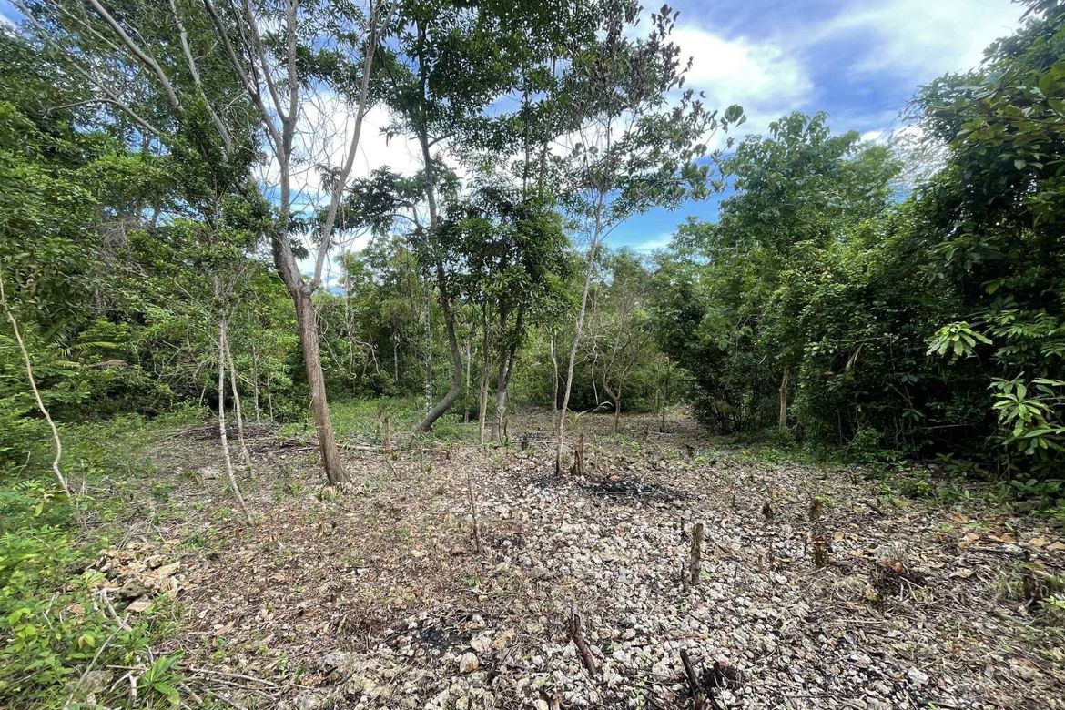 Land for Sale in Cangmohao, Siquijor, Siquijor