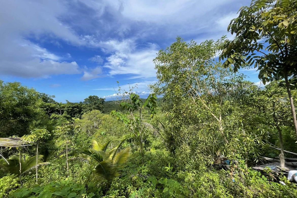 Land for Sale in Cangmohao, Siquijor, Siquijor – photo 5