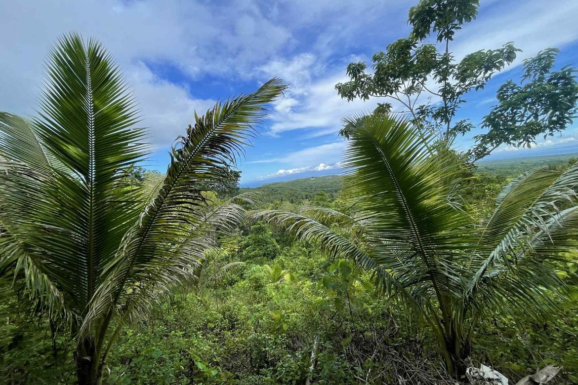 Land for Sale in Cangmohao, Siquijor, Siquijor – photo 8
