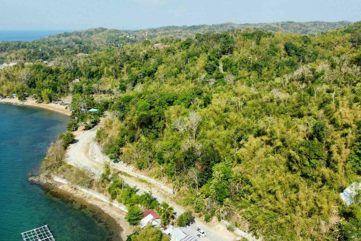 Land for Sale in Canhawan, Nueva Valencia, Guimaras – photo 4