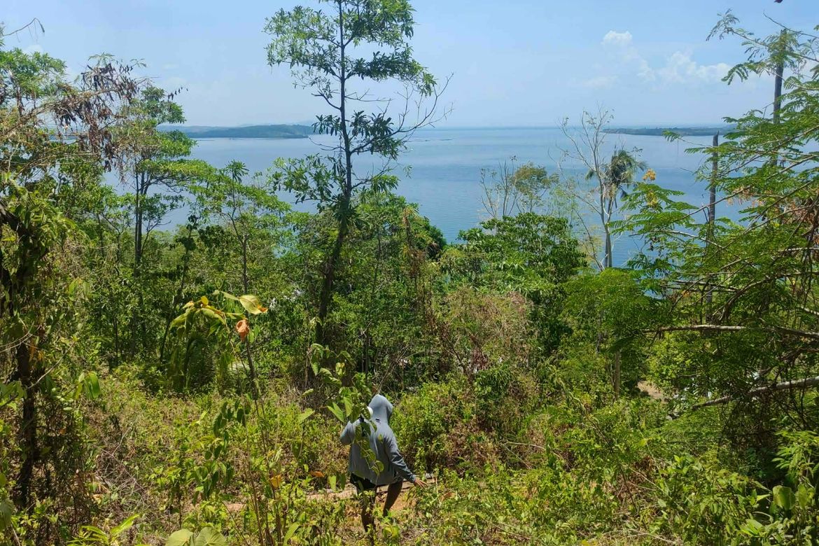 Land for Sale in Canhawan, Nueva Valencia, Guimaras – photo 8
