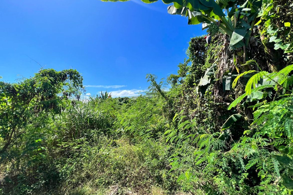 Land for Sale in Canjulao, Lapu-Lapu, Cebu – photo 4