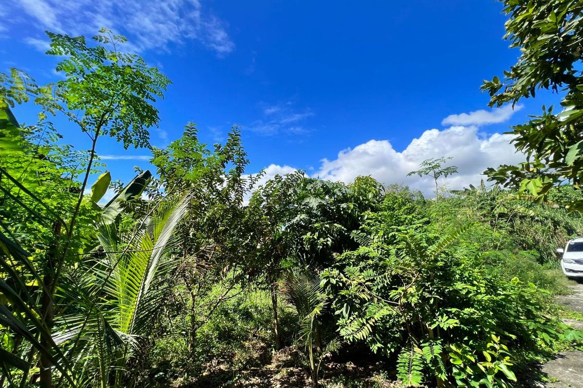 Land for Sale in Canjulao, Lapu-Lapu, Cebu – photo 6