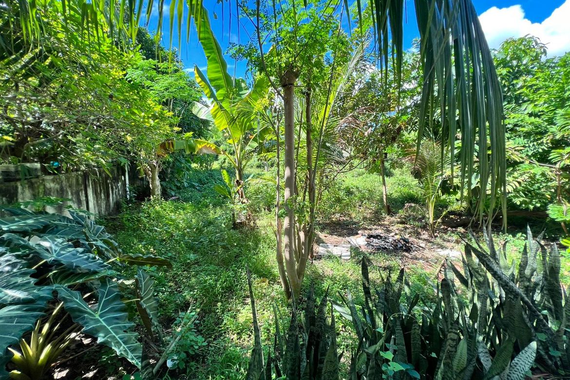 Land for Sale in Canjulao, Lapu-Lapu, Cebu – photo 7