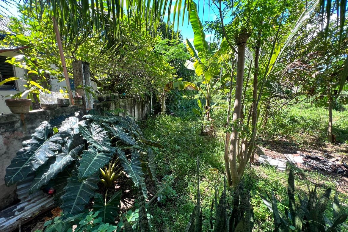 Land for Sale in Canjulao, Lapu-Lapu, Cebu – photo 8