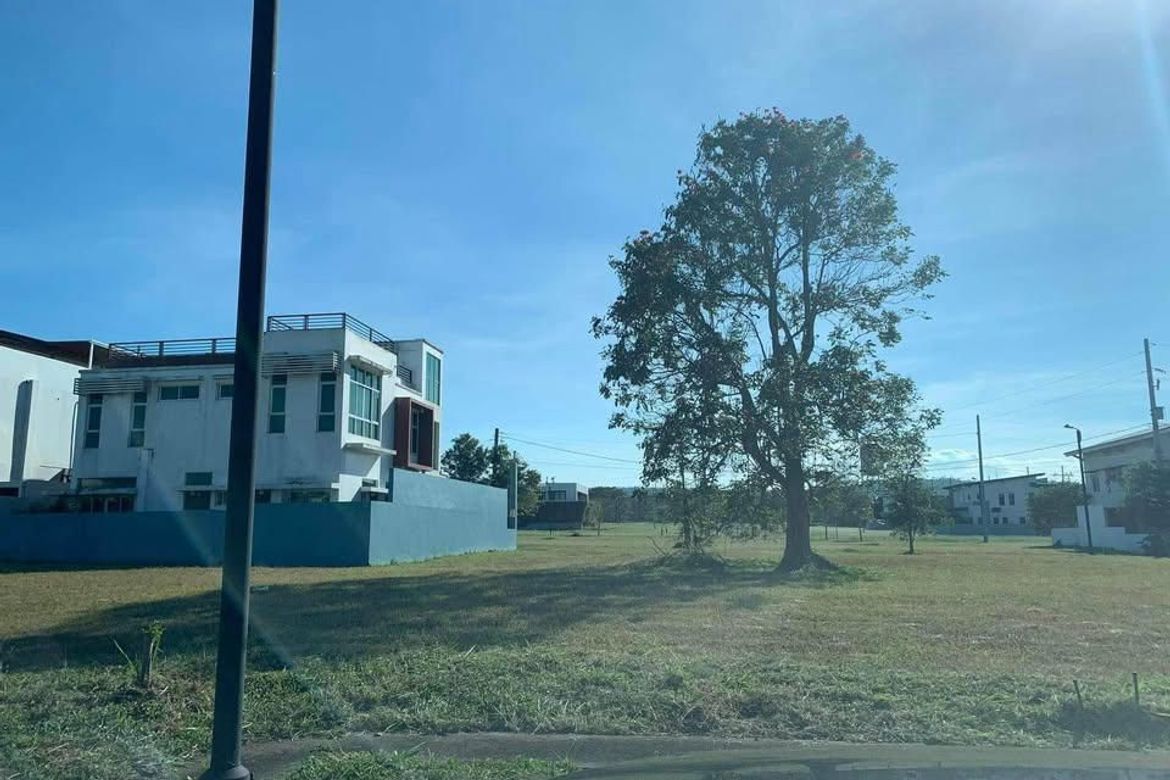 Land for Sale in Canlubang, Calamba, Laguna – photo 2
