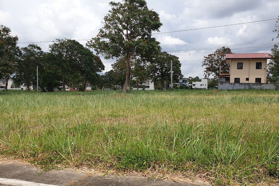 Land for Sale in Canlubang, Calamba, Laguna