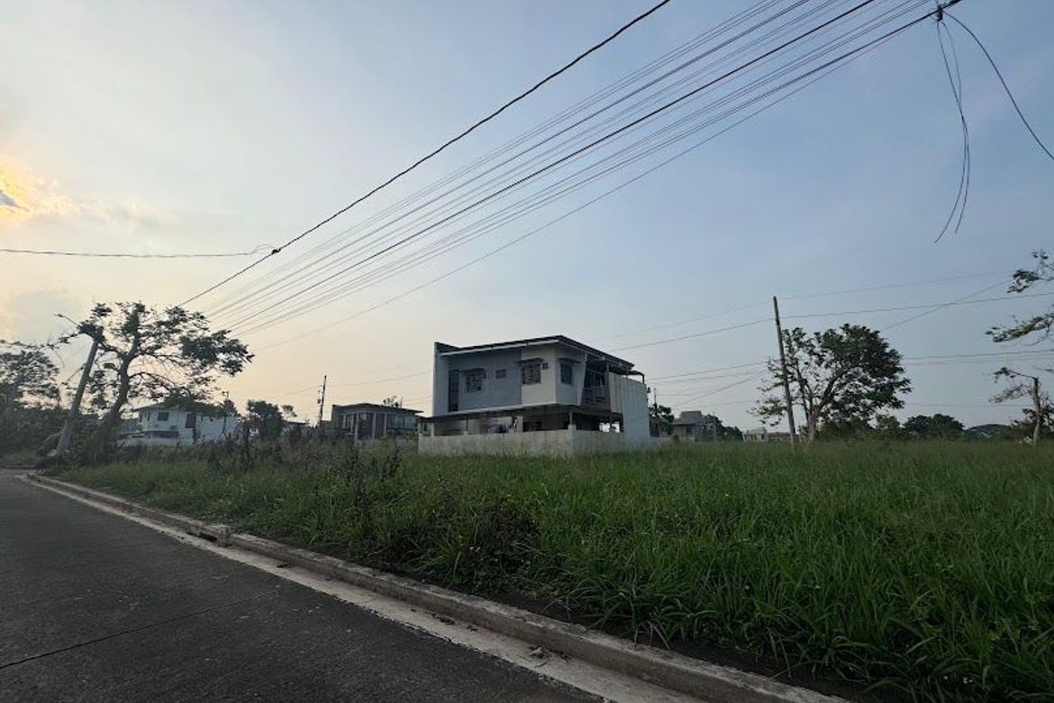 Land for Sale in Canlubang, Calamba, Laguna – photo 3