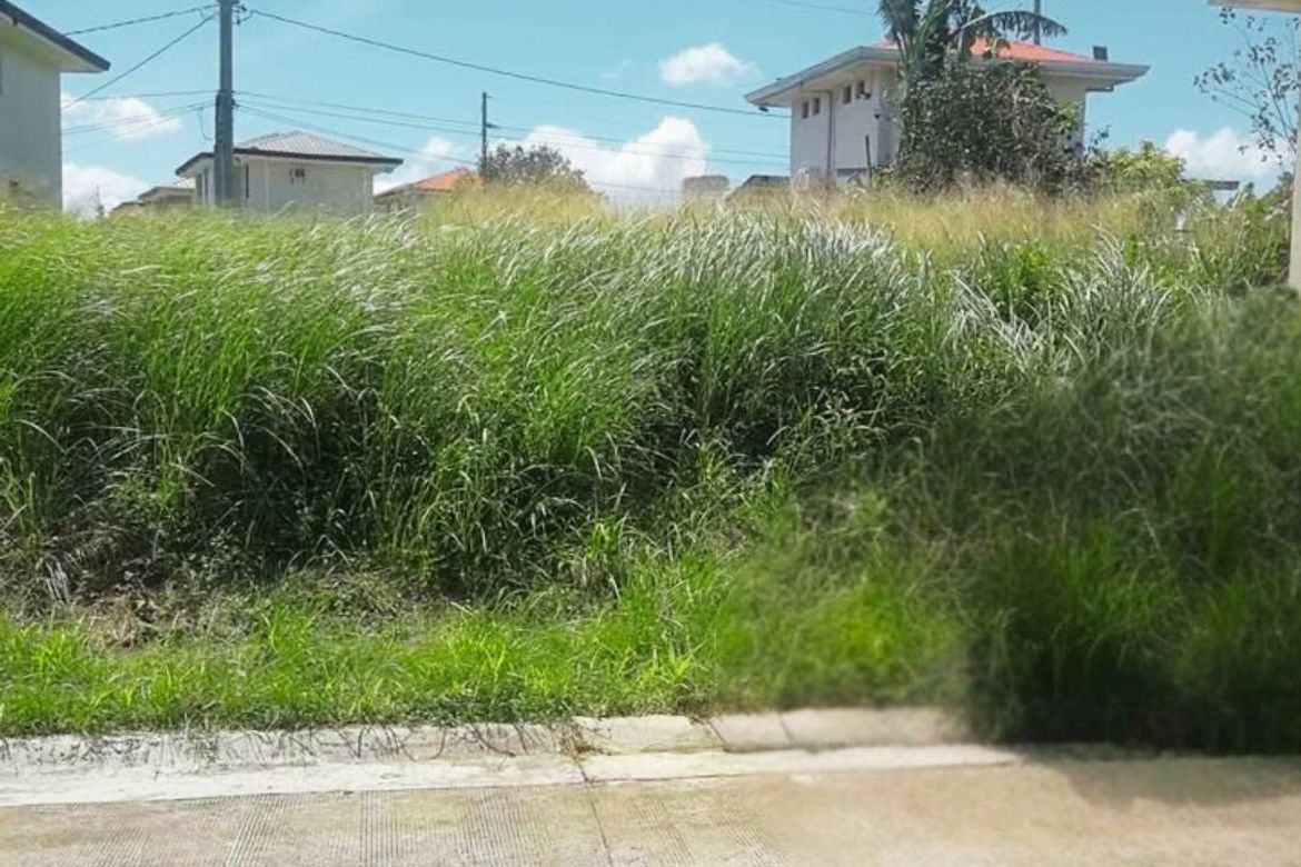 Land for Sale in Canlubang, Calamba, Laguna