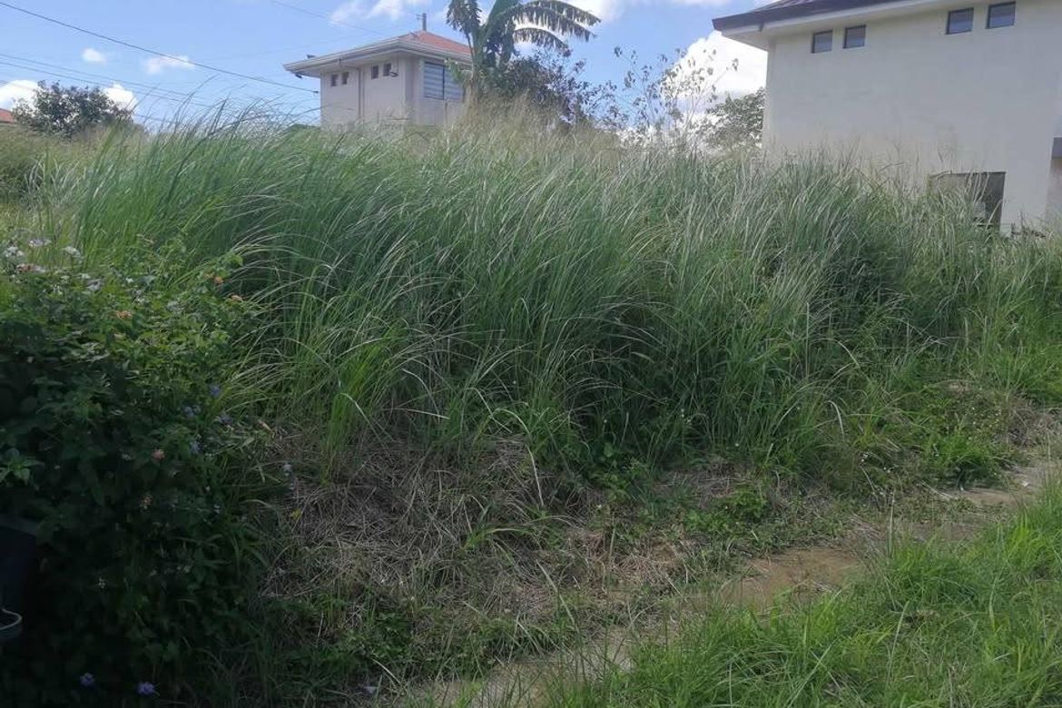 Land for Sale in Canlubang, Calamba, Laguna – photo 2