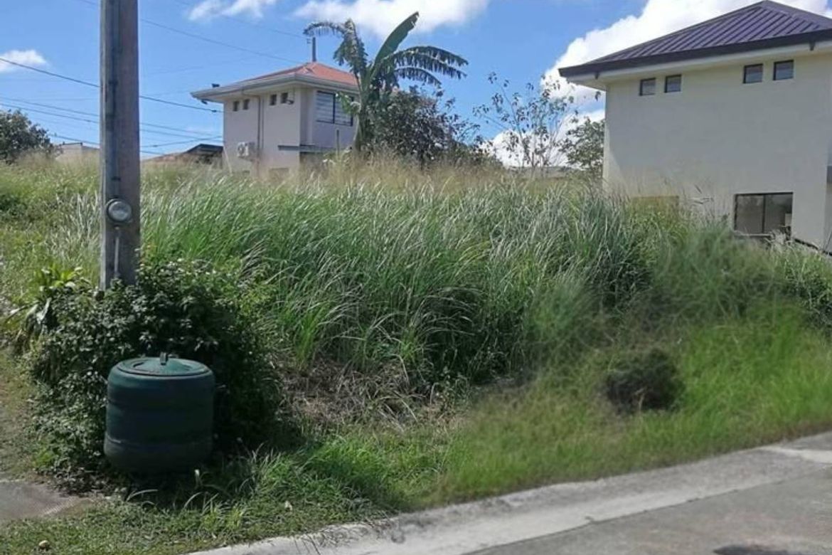 Land for Sale in Canlubang, Calamba, Laguna – photo 3