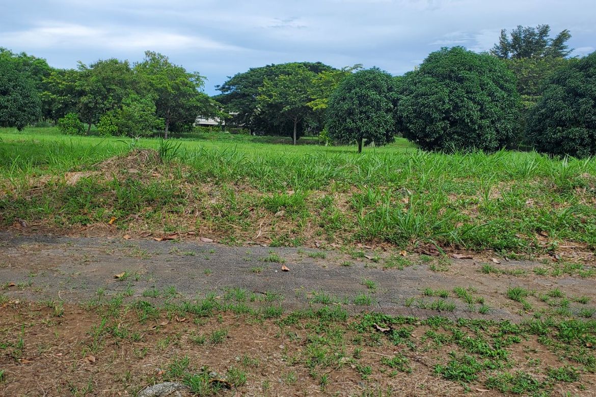 Land for Sale in Canlubang, Calamba, Laguna – photo 3