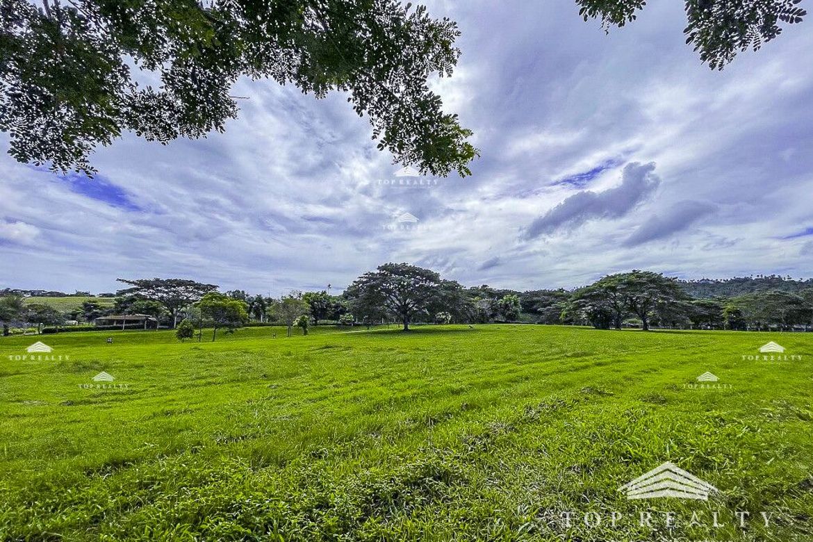 Land for Sale in Canlubang, Calamba, Laguna – photo 2
