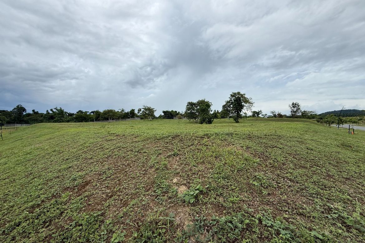 Land for Sale in Canlubang, Calamba, Laguna – photo 2