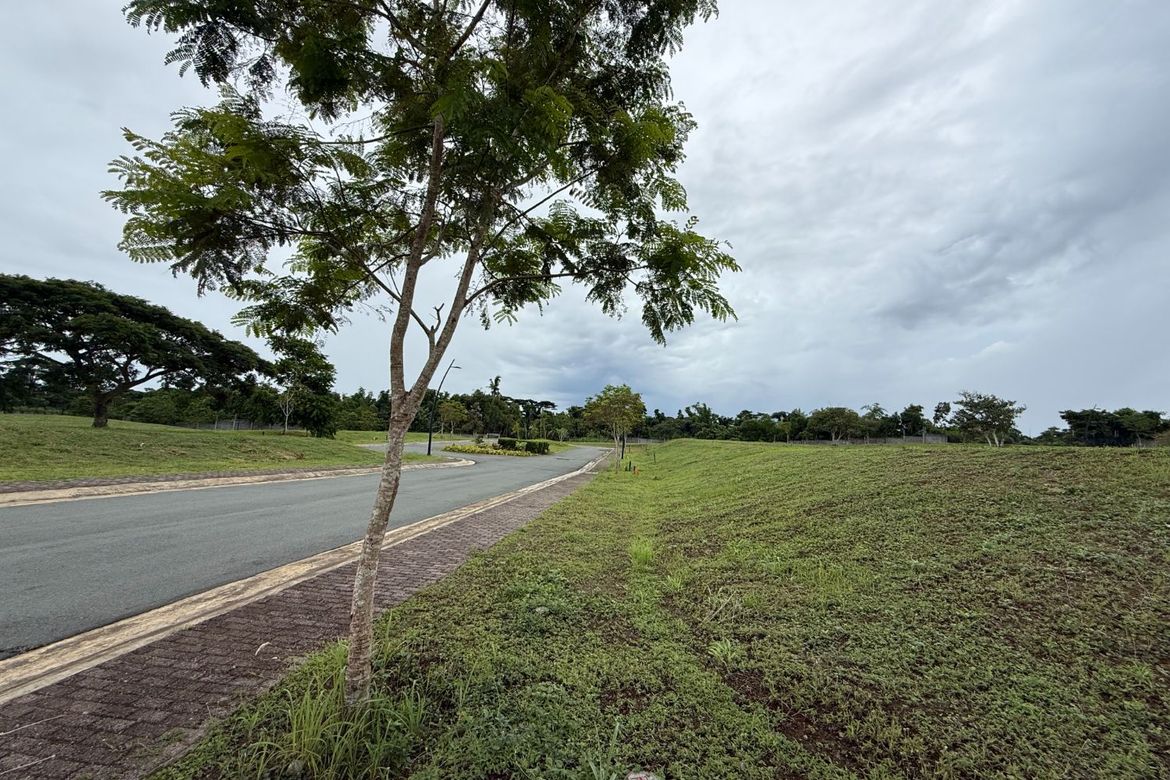 Land for Sale in Canlubang, Calamba, Laguna – photo 3