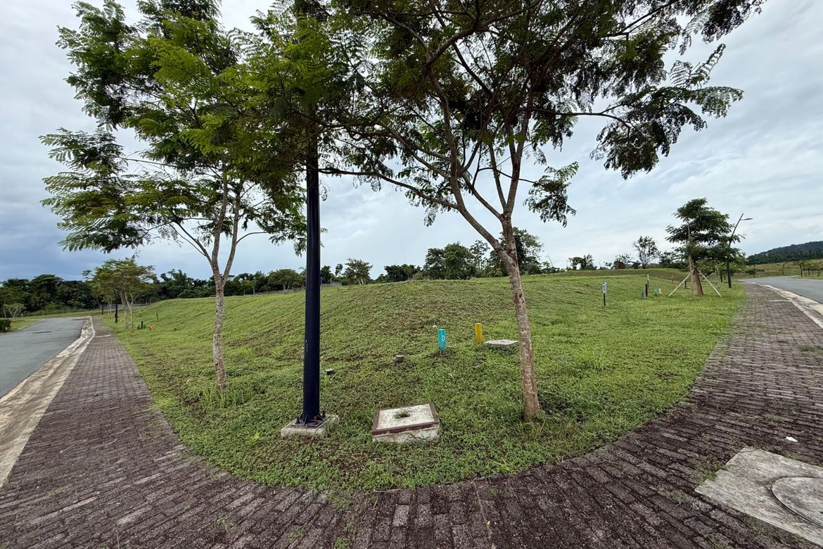 Land for Sale in Canlubang, Calamba, Laguna – photo 4