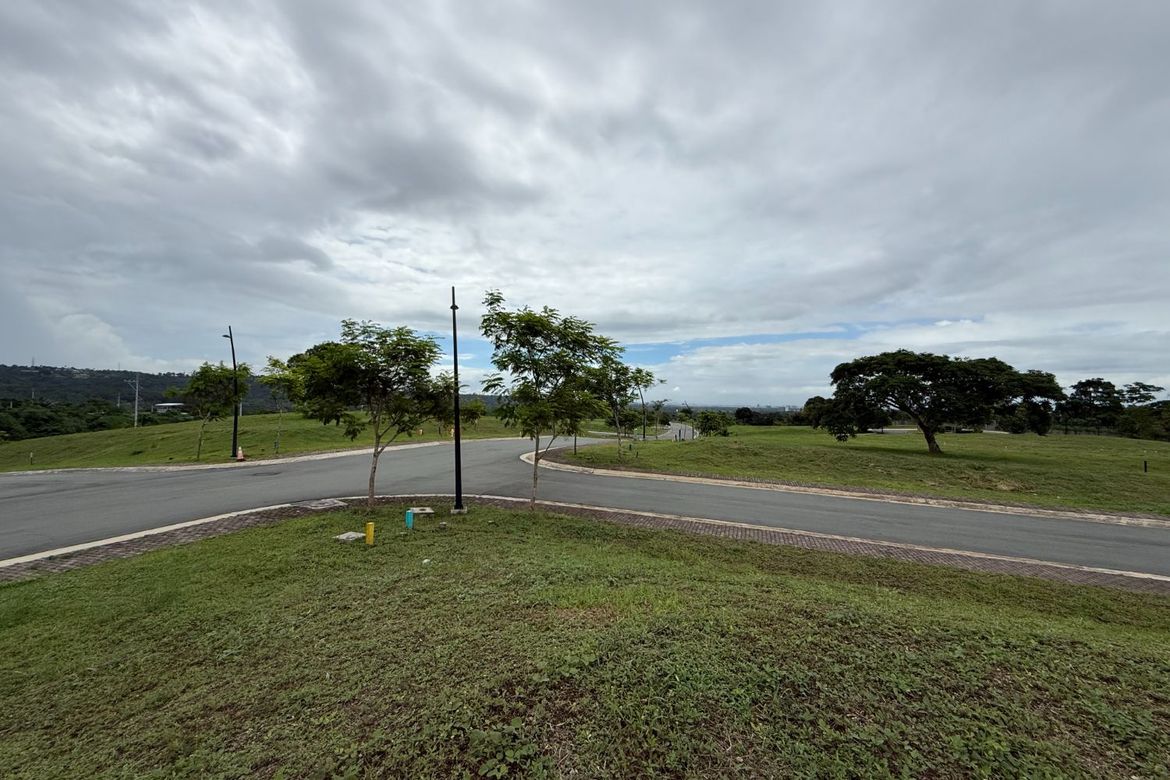 Land for Sale in Canlubang, Calamba, Laguna – photo 6
