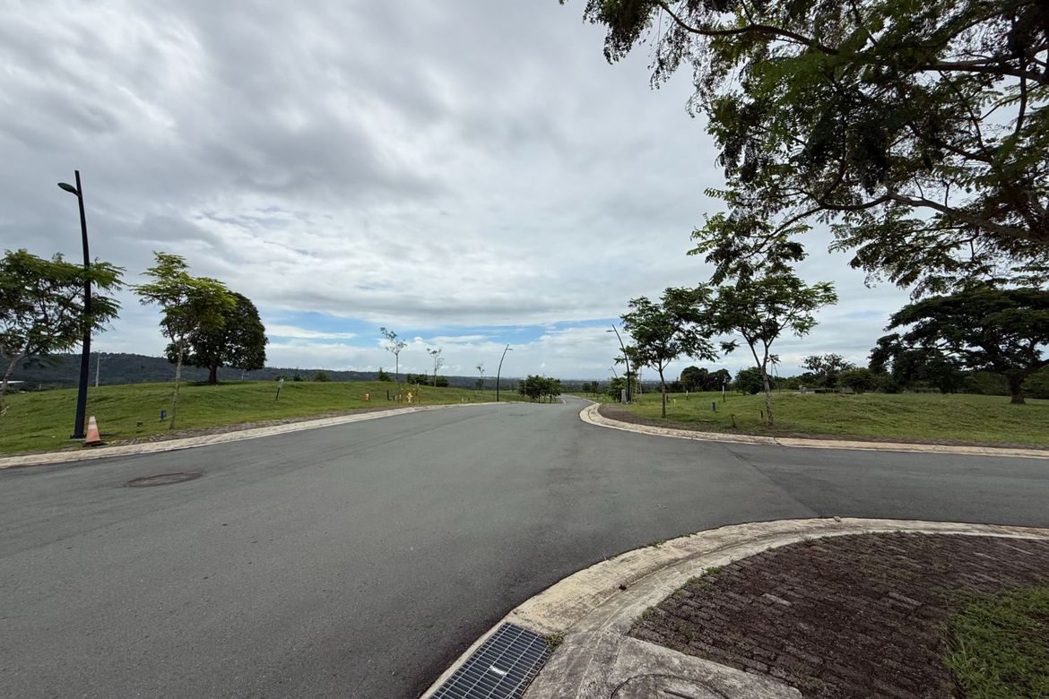 Land for Sale in Canlubang, Calamba, Laguna – photo 7