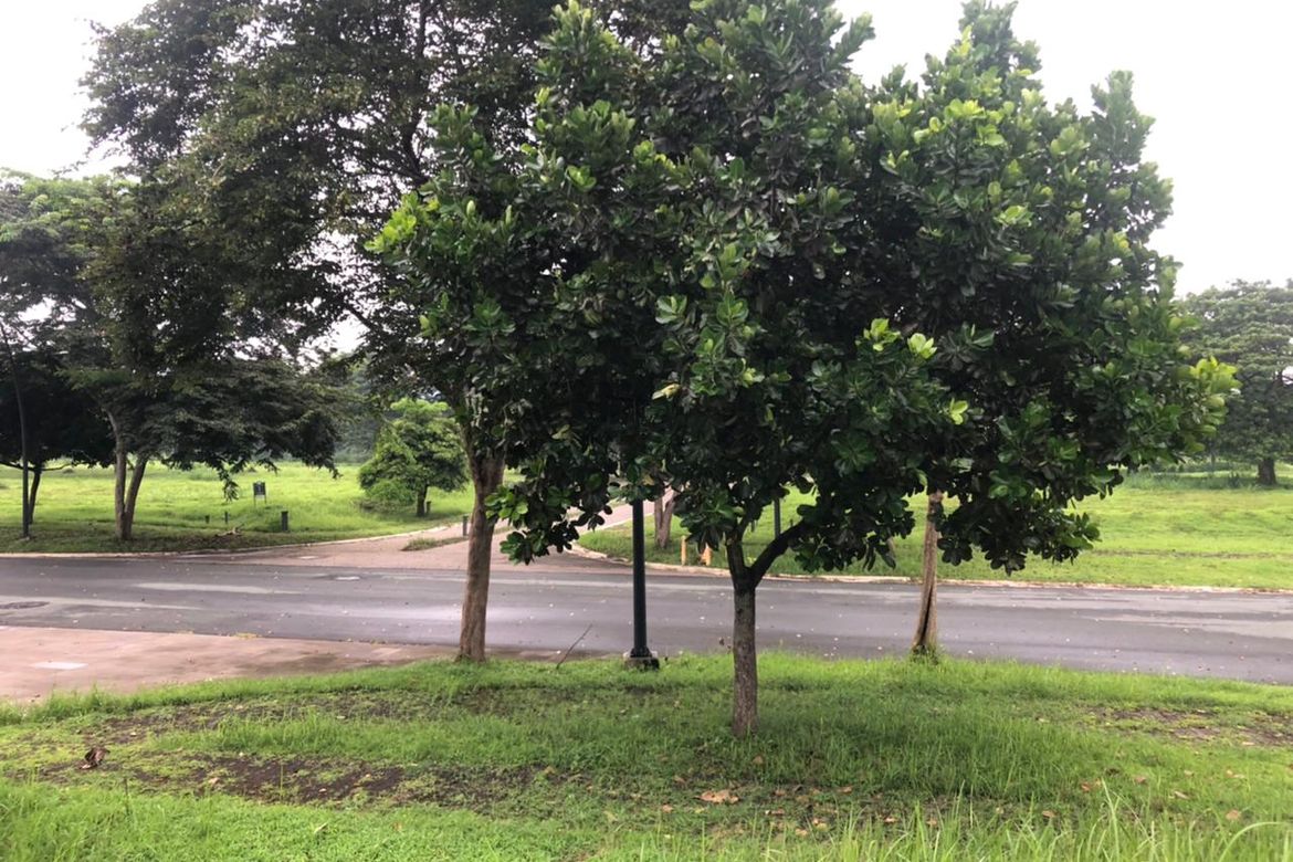 Land for Sale in Canlubang, Calamba, Laguna – photo 5