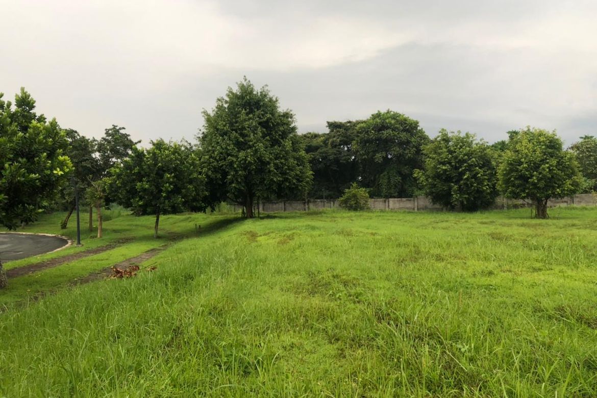 Land for Sale in Canlubang, Calamba, Laguna – photo 8