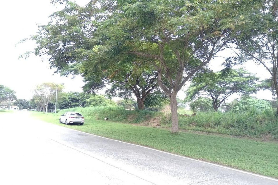 Land for Sale in Canlubang, Calamba, Laguna