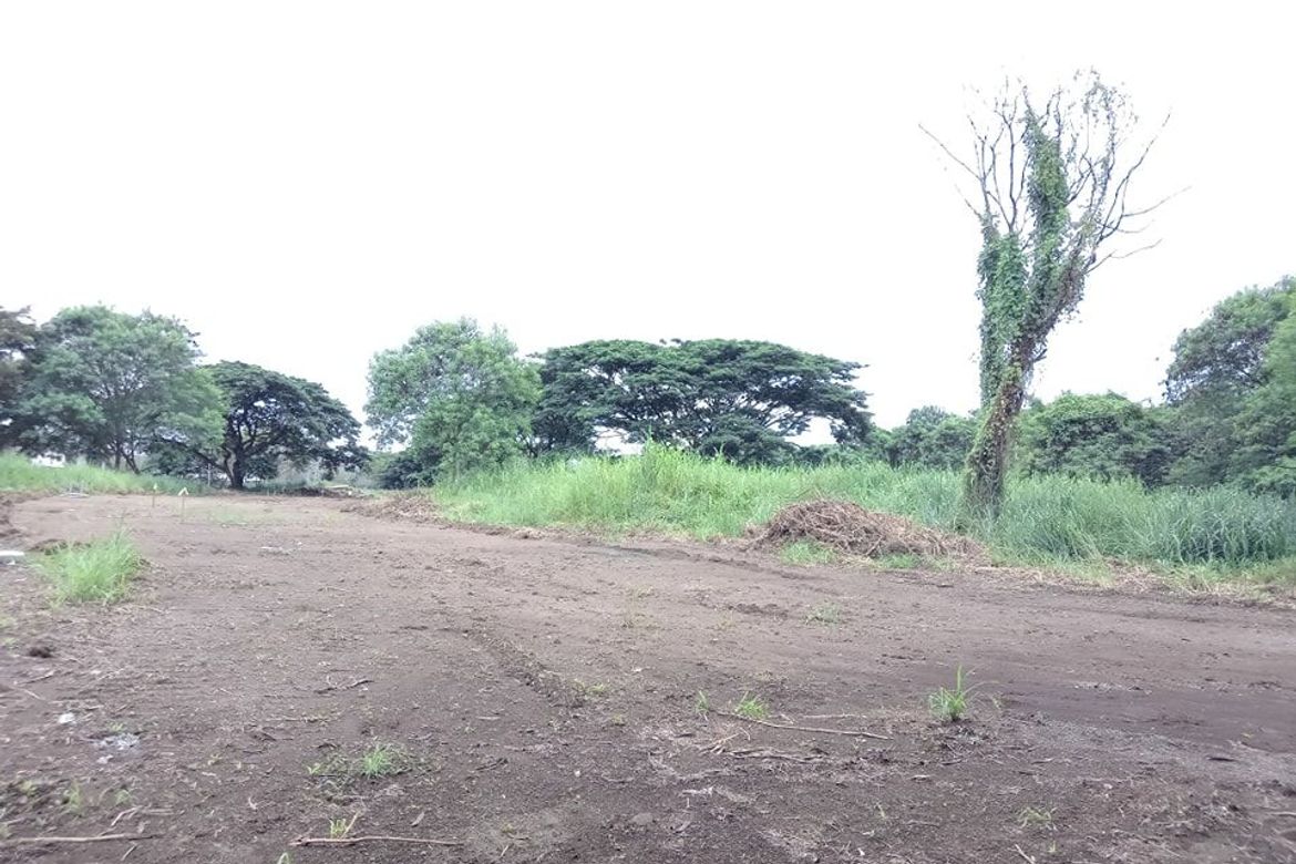 Land for Sale in Canlubang, Calamba, Laguna – photo 4