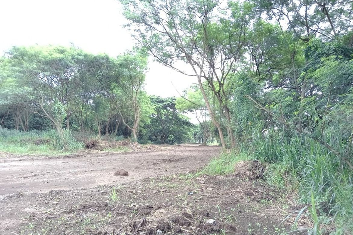 Land for Sale in Canlubang, Calamba, Laguna – photo 6