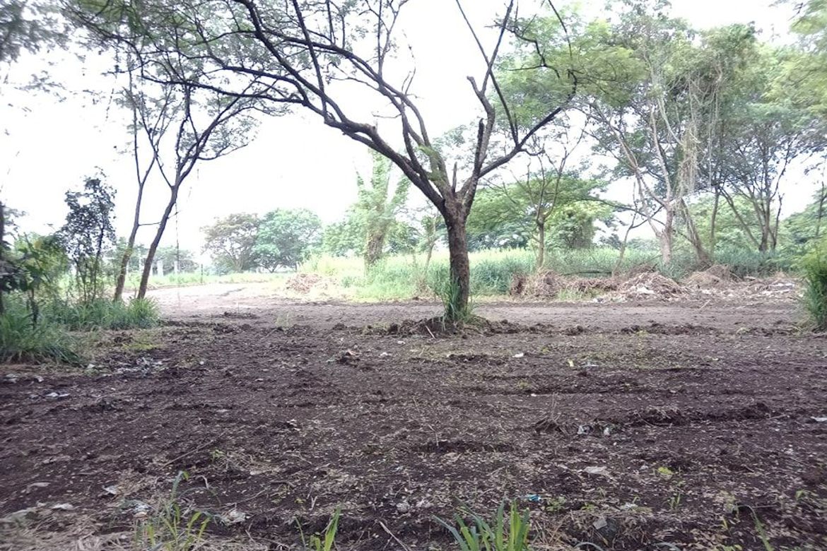 Land for Sale in Canlubang, Calamba, Laguna – photo 7