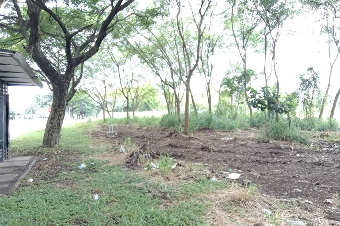 Land for Sale in Canlubang, Calamba, Laguna – photo 8