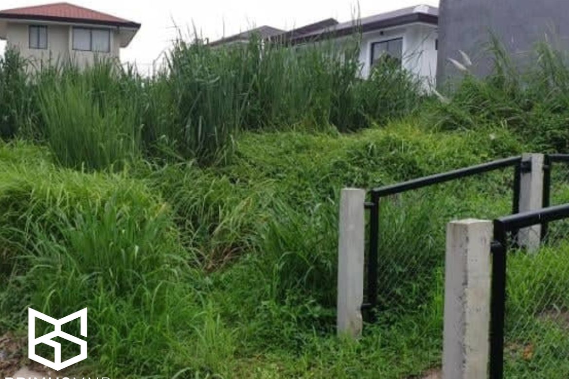Land for Sale in Canlubang, Calamba, Laguna – photo 4