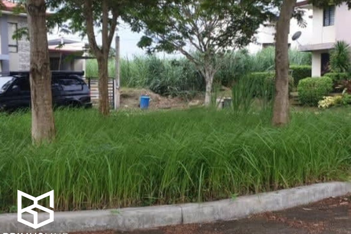 Land for Sale in Canlubang, Calamba, Laguna – photo 5