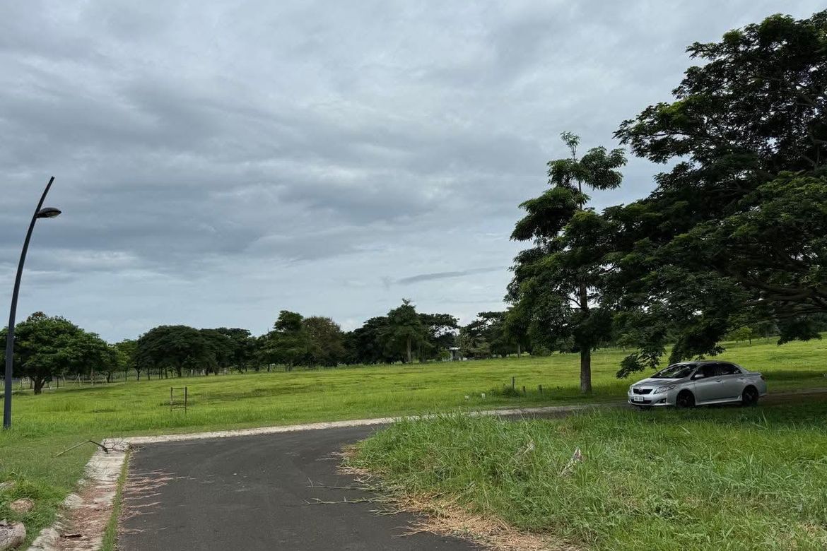 Land for Sale in Canlubang, Calamba, Laguna – photo 3