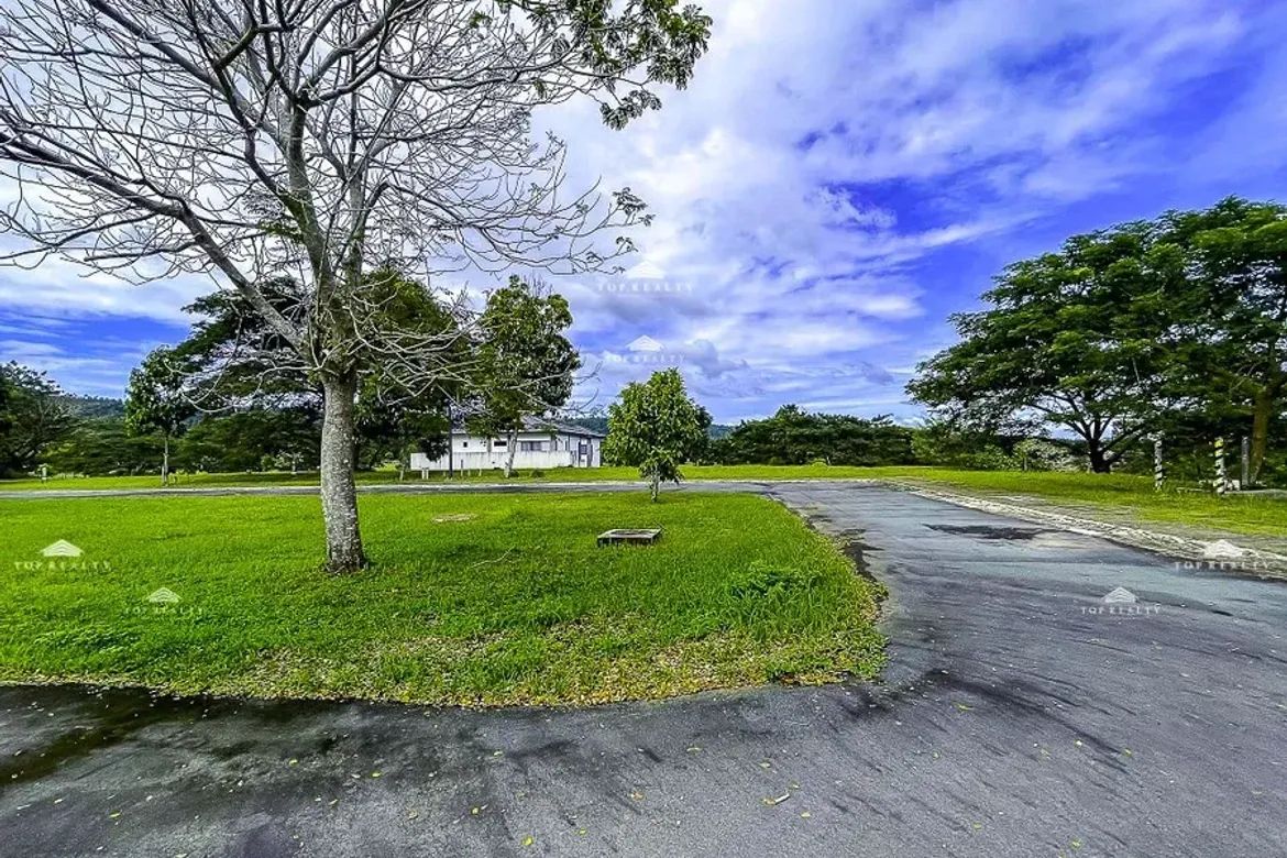 Land for Sale in Canlubang, Calamba, Laguna – photo 3